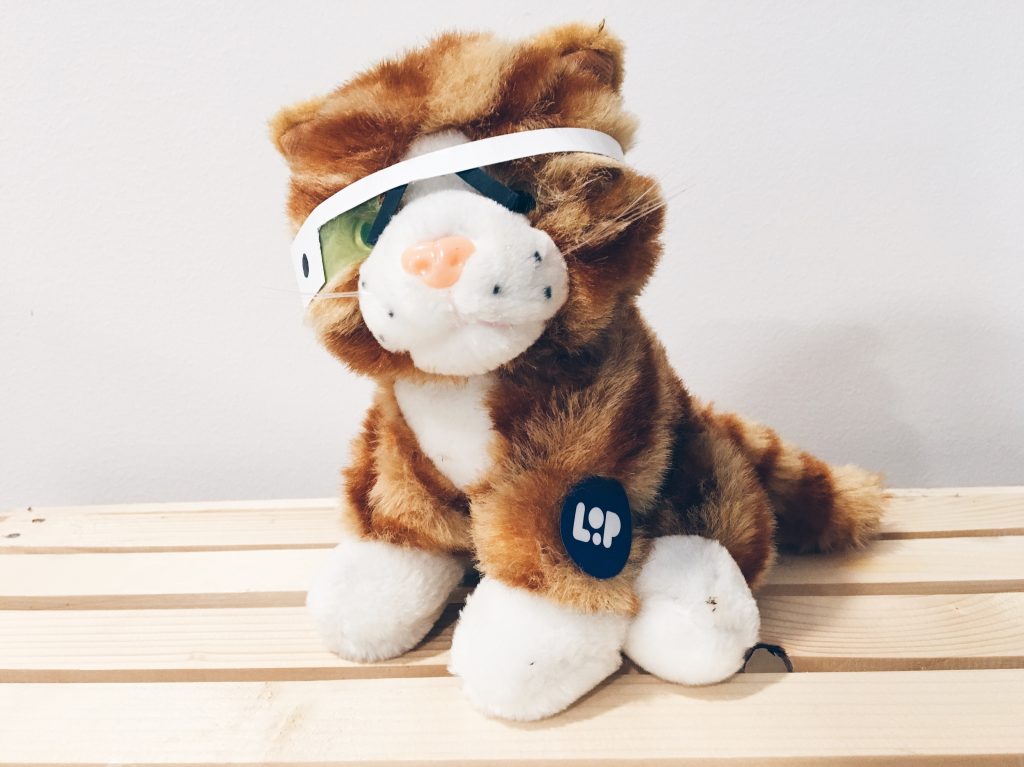 Picture of our very own Product Hunt style cat called Loopy.